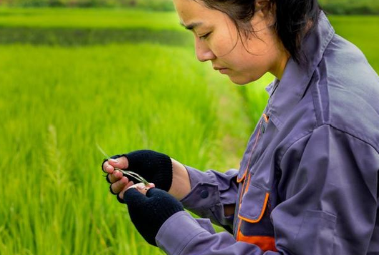 “生化环材”不算什么，新“四大天坑”专业来袭，学生报考需谨慎