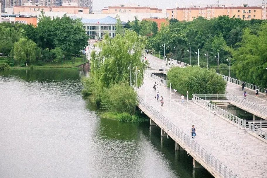 缺口55至100万！这类人才需求迫切、就业可观！四川大学提前布局！