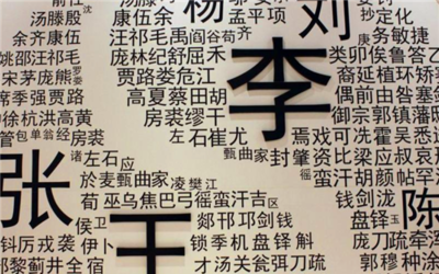 中国千家姓氏排行榜：揭秘最稀有珍贵的姓氏分布