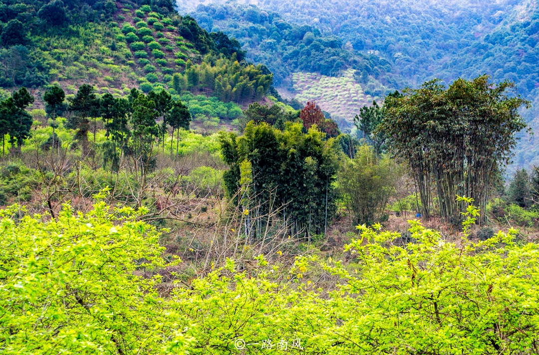 桂峰山在哪（被誉为后花园的广州郊区桂峰山）