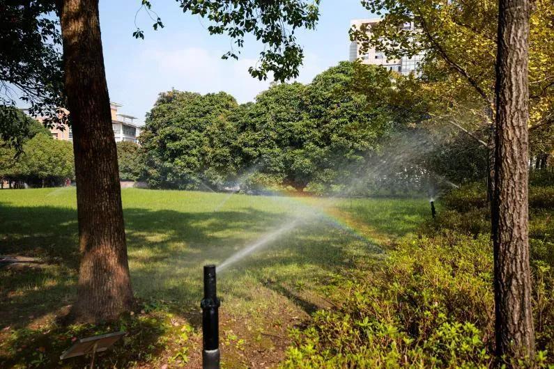 首批！中国计量大学荣获“浙江省绿色学校（高等学校）”称号