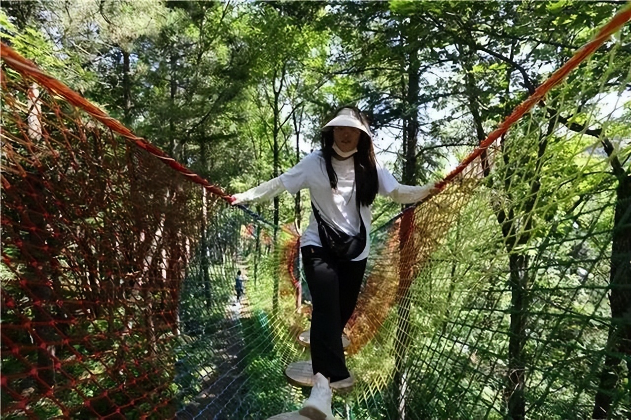 因麦积山而来 留植物园忘返！麦积山植物园带你体验丛林探险的乐趣