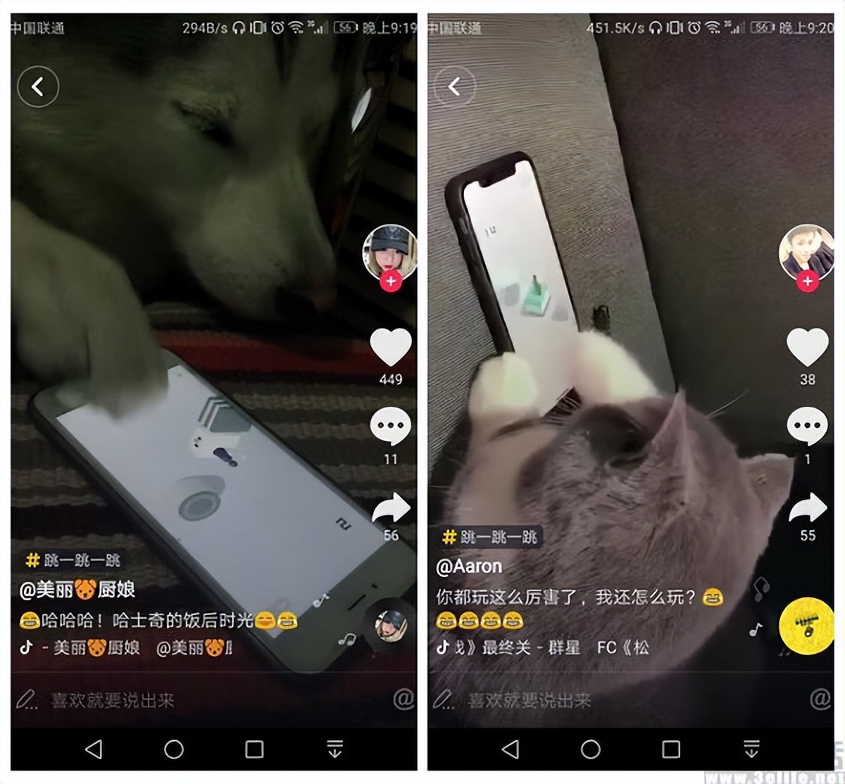 昔日明星公司破产，H5游戏怎就养不活“白鹭”