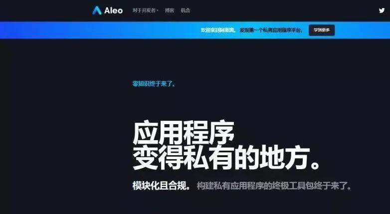 Aleo 联合创始人Howard Wu出席ZKP编程语言在线会议