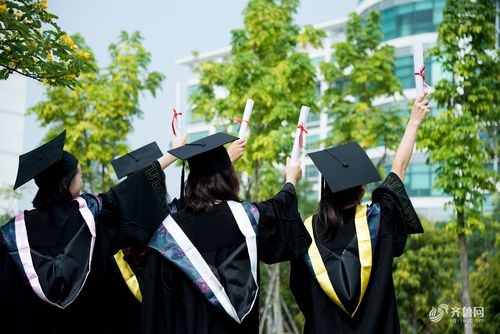 211高校金字塔名单公布，被分为四个等级，高中生家长必看