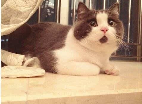 高中三年，每个阶段到底要考到多少分才能上