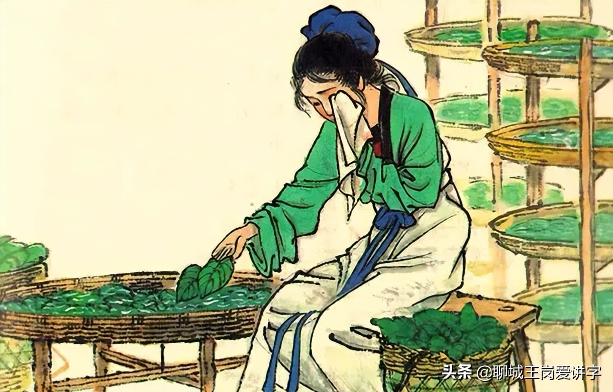 答疑解惑：“纨绔”是什么面料？“纨绔子弟”为何形容这帮人？