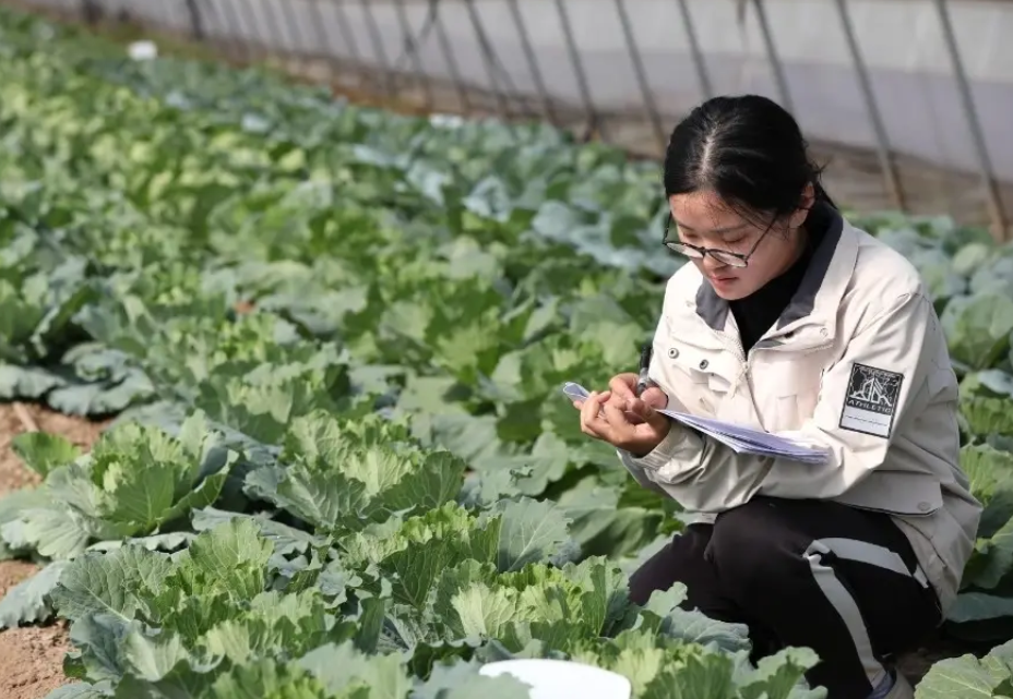 “生化环材”不算什么，新“四大天坑”专业来袭，学生报考需谨慎