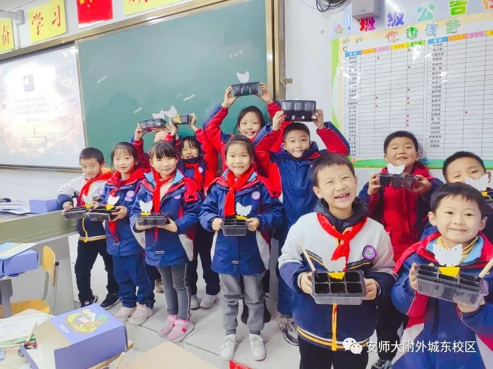 助力课后服务全覆盖、“鸿合三点伴”为学校素质教育“量体裁衣”