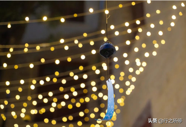 “中国最美大学”厦门大学博物馆开门了？还有惊喜的夜游活动