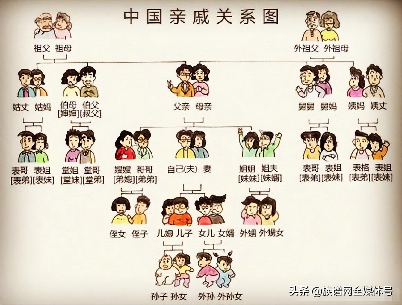 堂和表是怎么区分的（堂的表的有什么区别）-第3张图片-科灵网