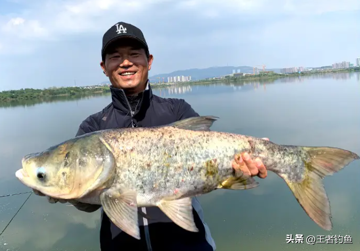 王者荣耀比赛流程(钓王邓刚缺席小组赛，王者之战流量坍塌！主办方该反思了)