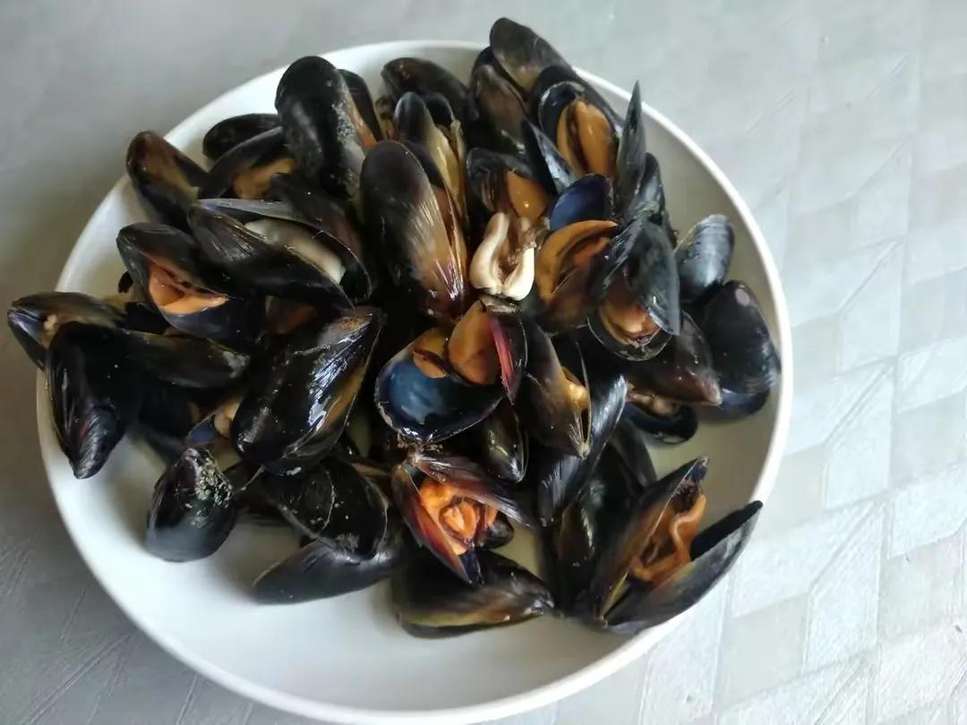 海红图片(海虹是) - 赤虎壹号