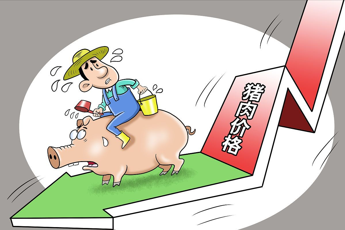 今日中国西南地区猪价（中国古代西南地区）