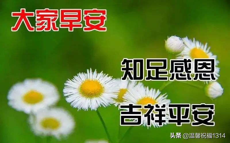 4月最新早安祝福温馨语句，星期三早晨暖心的问候语图片