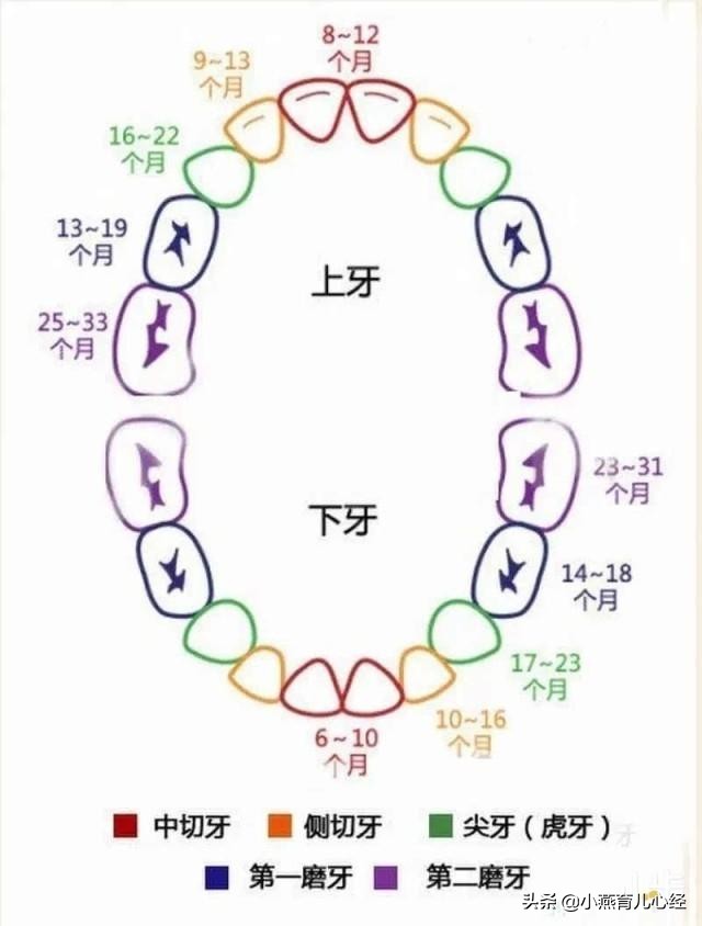 林依晨晒七个月女儿出牙照，宝宝出牙期的四个不适，父母要会护理