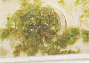 厨房下水道油腻(ni)凝固堵（厨房下水道油腻凝固堵化学法(fa)疏通）-第19张图片(pian)-大连信息网