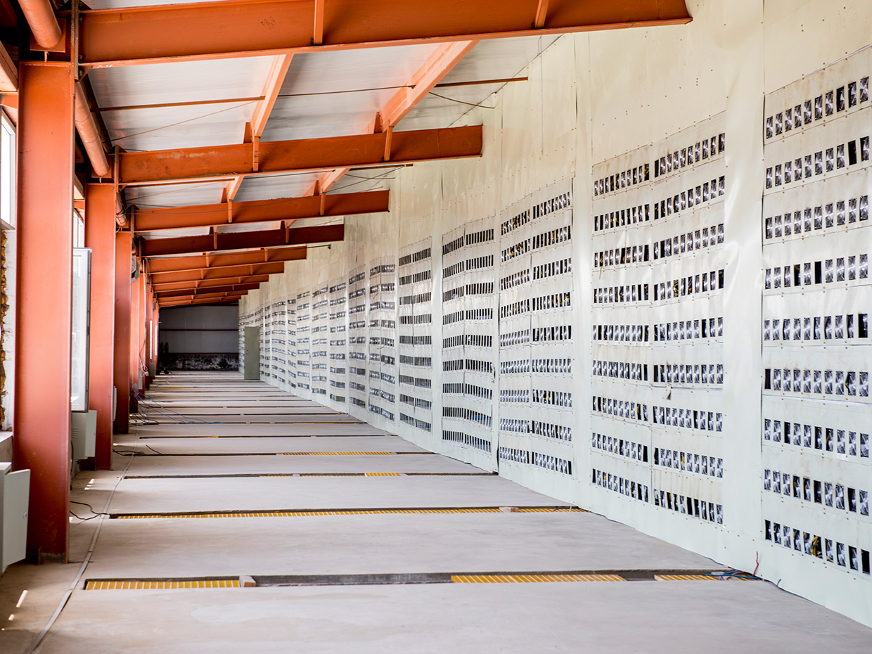 为什么最大的比特币挖矿企业在中国