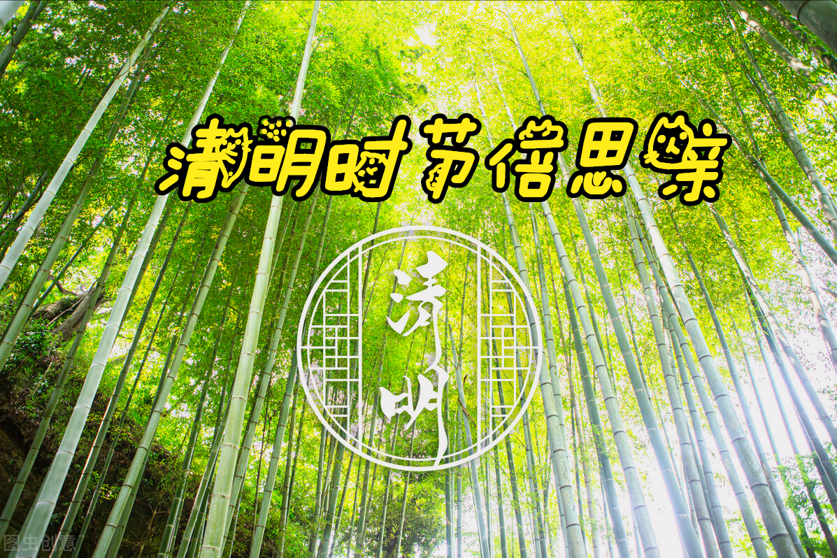 清明节思念亲人图片大全大图(一花一思念,清明细雨花漫天,年年祭扫