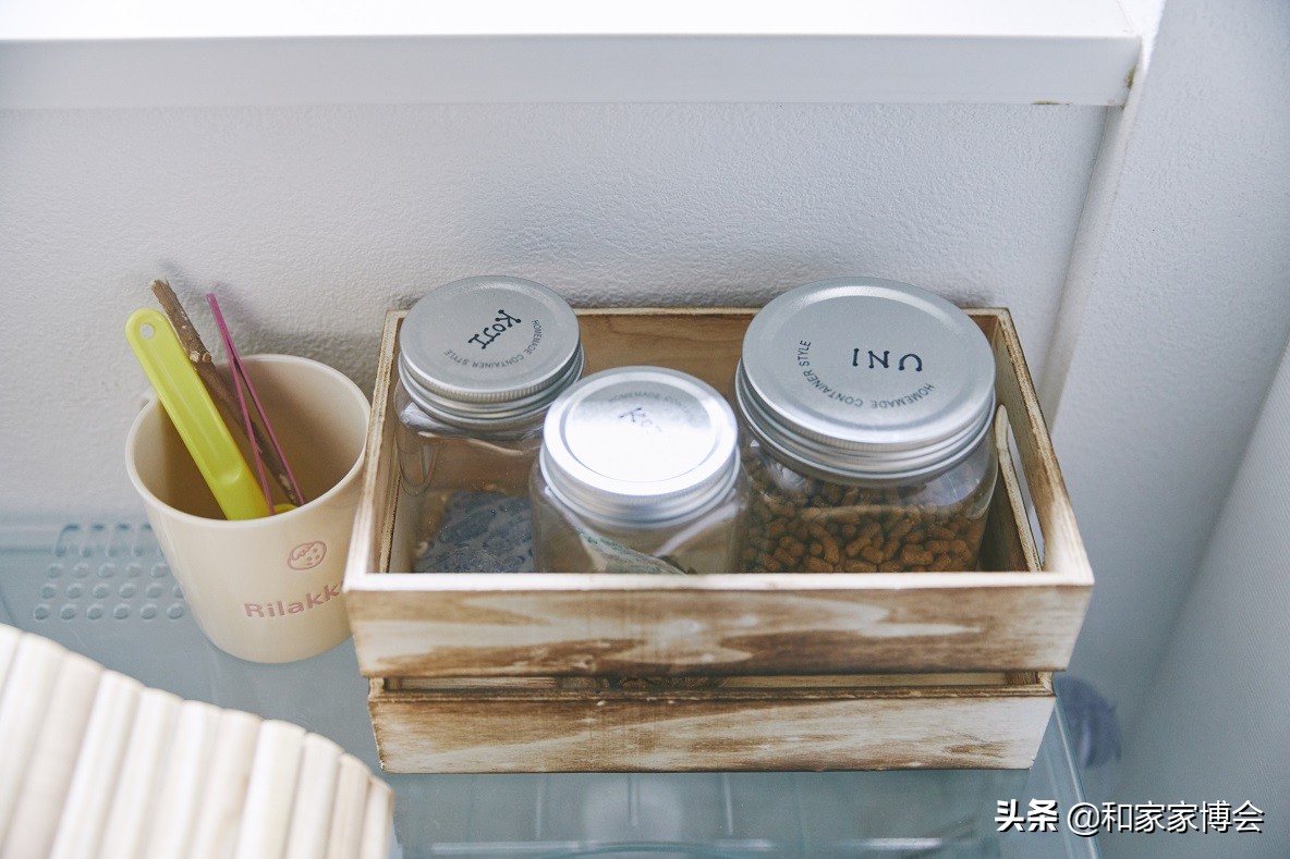 新婚夫妇的50㎡出租房改造 打造温馨小屋