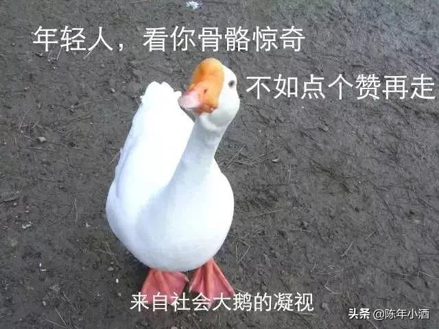 武动乾坤第三季完结：看了又好像没看。口碑崩坏，恐成为最丑男主