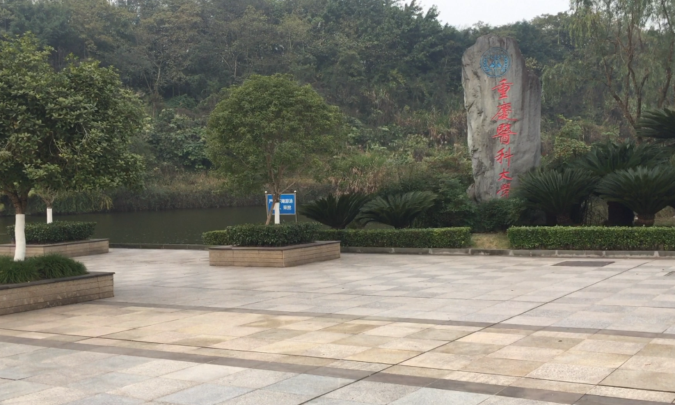 重庆高校2022年预算经费分析，重医与重师增势喜人，整体仍显偏低