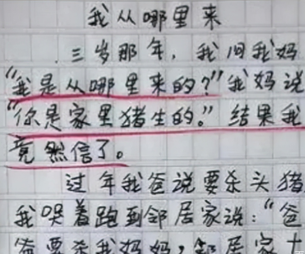 学生作文《我从哪里来》，内容真实想象力丰富，老师看后直呼天才