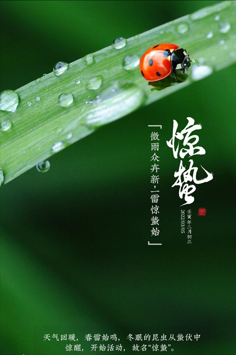 微雨众卉新，当春起蜇虫—惊蛰，春雷隐隐万物动，飞龙在天正觉醒