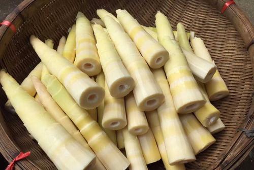 胃不好的人，提醒：蔬菜需挑着吃，这5种蔬菜少碰，助胃病好转