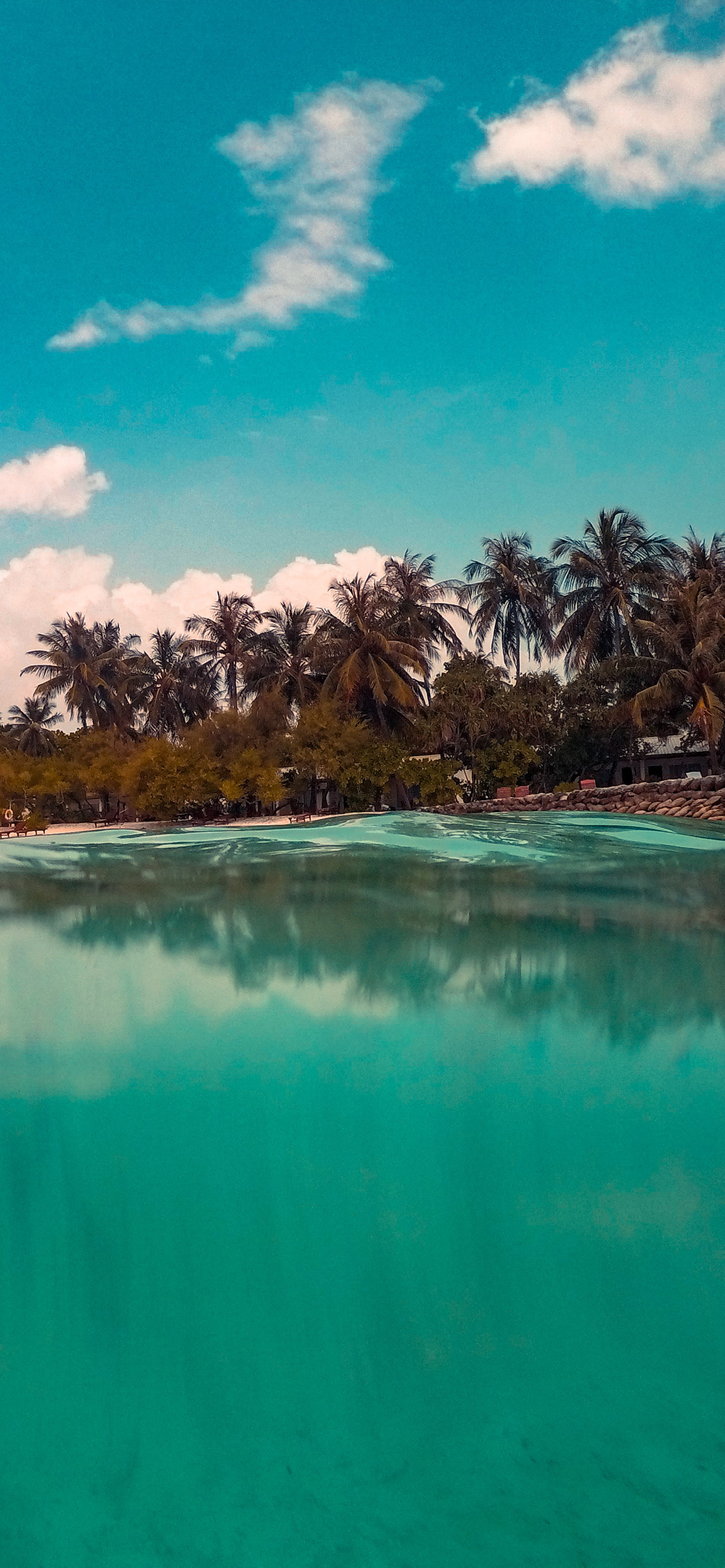 苹果手机壁纸尺寸 苹果13屏保图片尺寸-百科叔叔