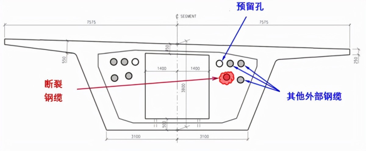 深圳灣大橋鋼纜斷裂大調(diào)查——絕命塵埃