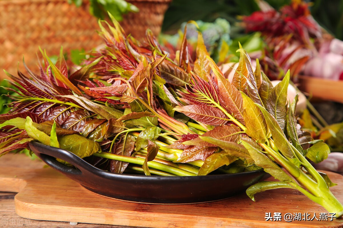 春天挖野菜，送你56种野菜大图片，带你见识不同的野菜和吃法