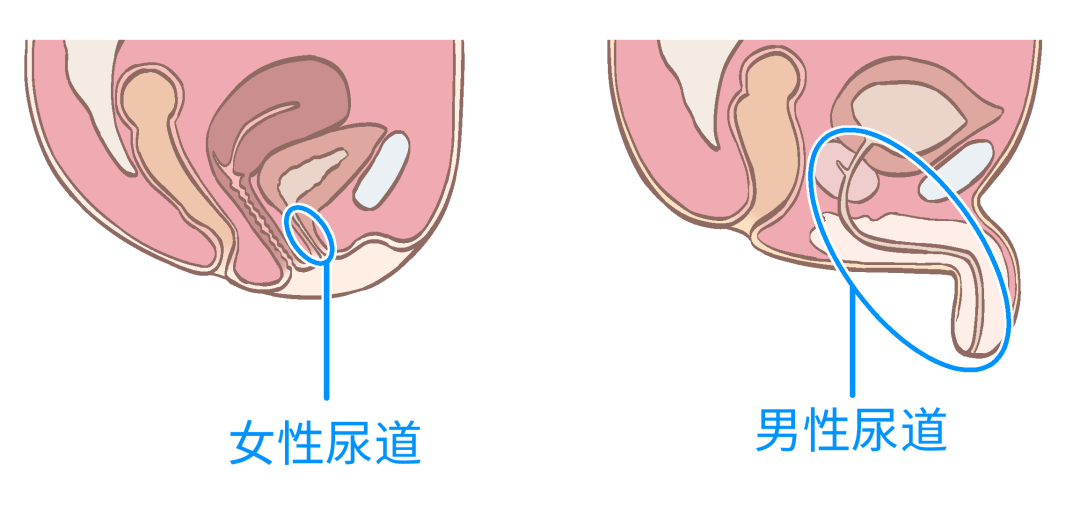 王鸥又有新瓜！与相声演员何九华同框，网友：这是男神收割机啊