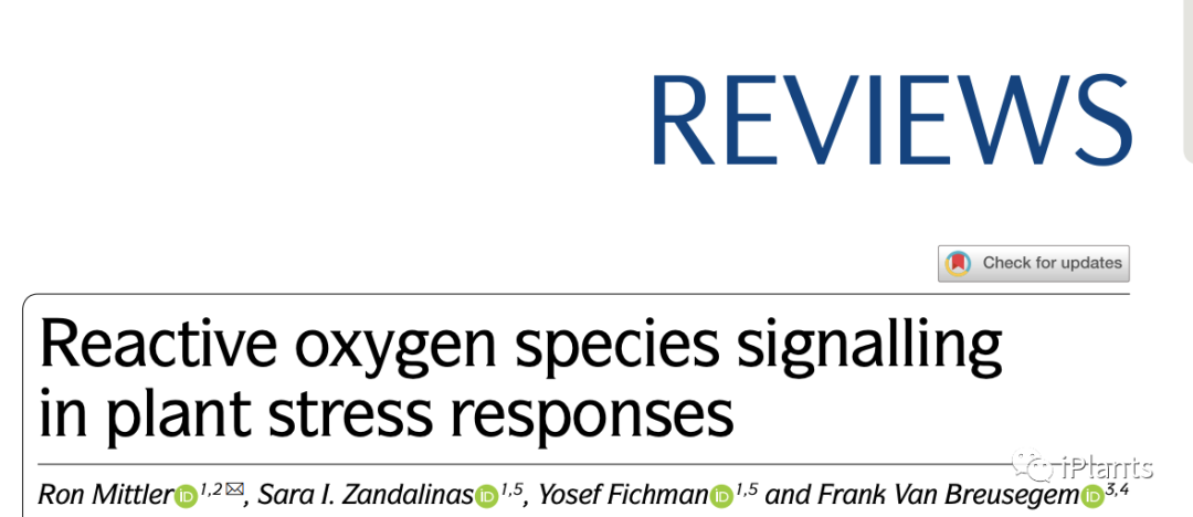 「NatureIF 113.9 」全面综述植物应激反应中 ROS 信号传导的研究进展