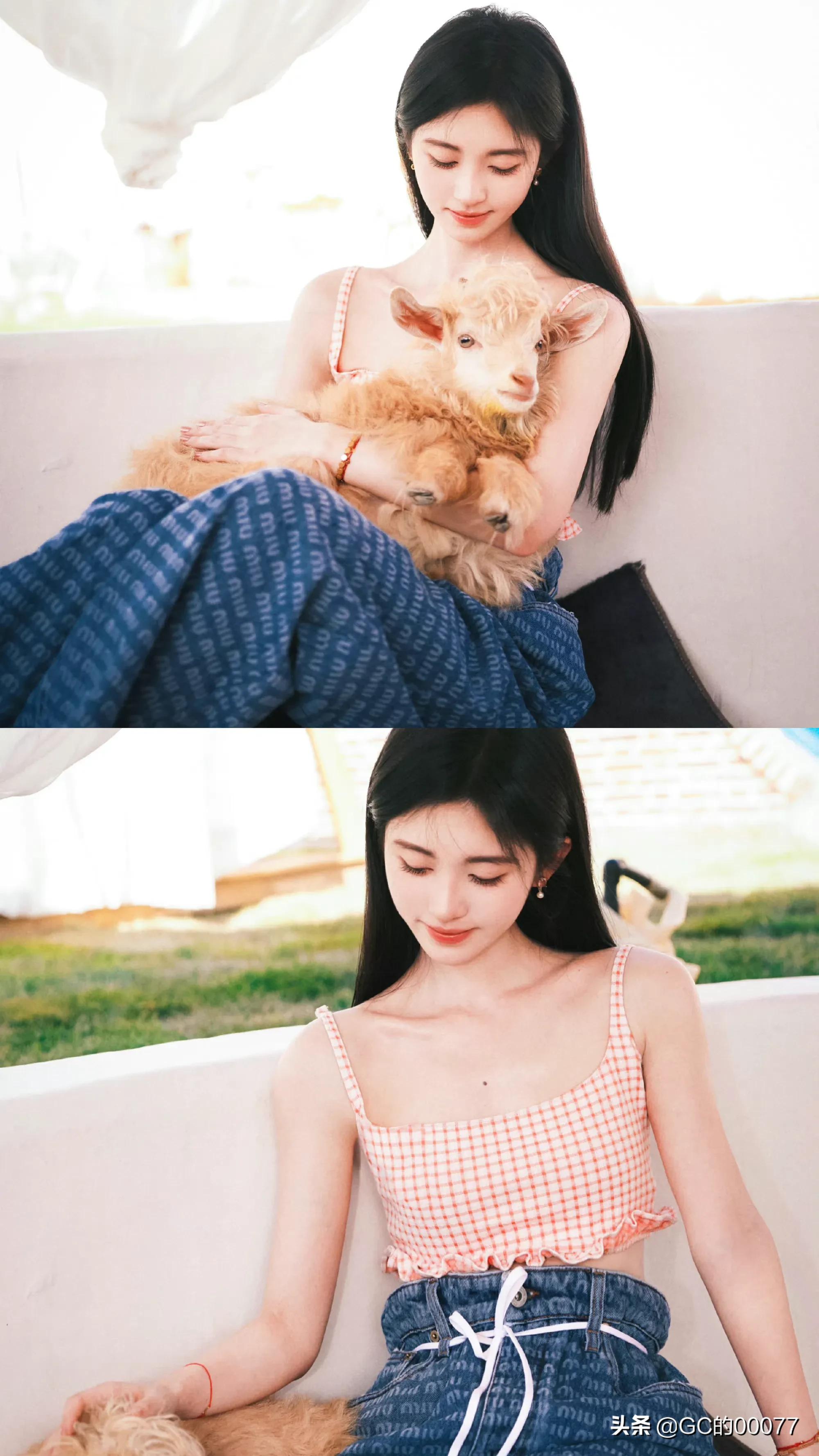 明星图片鞠婧祎