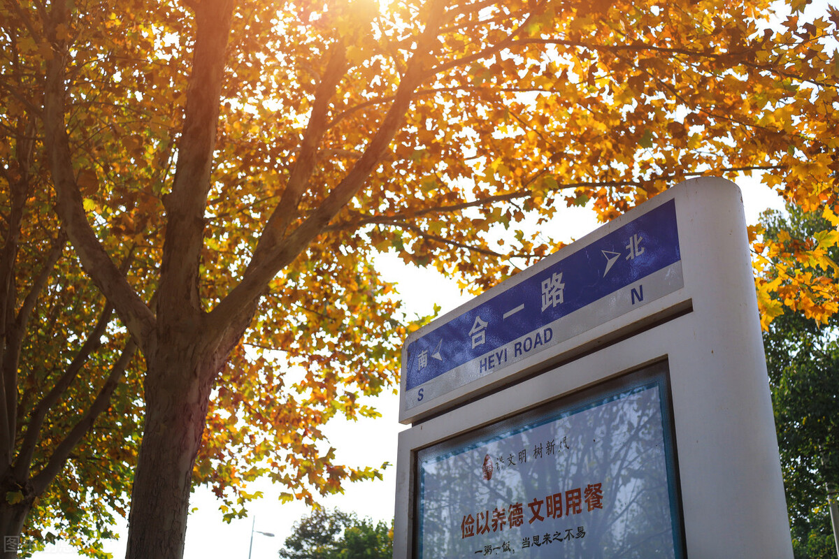 专科也有好的校企合作，这5所学校校企合作的学生，就业质量很高