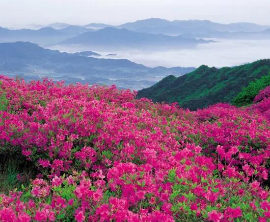 谷雨的古诗词有哪些「写谷雨节的古诗词」