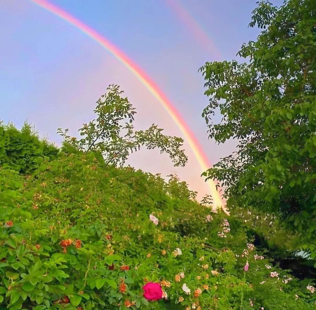 关于春分的朋友圈 / 说说文案