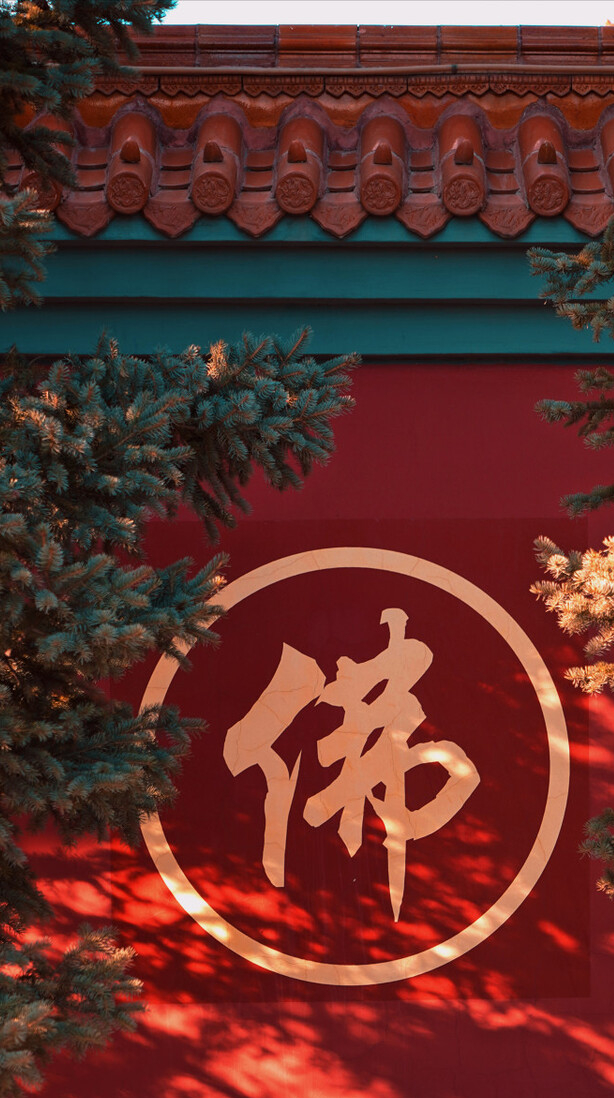 ӡգӡ̻ؽװջƲ룩-Ѷ