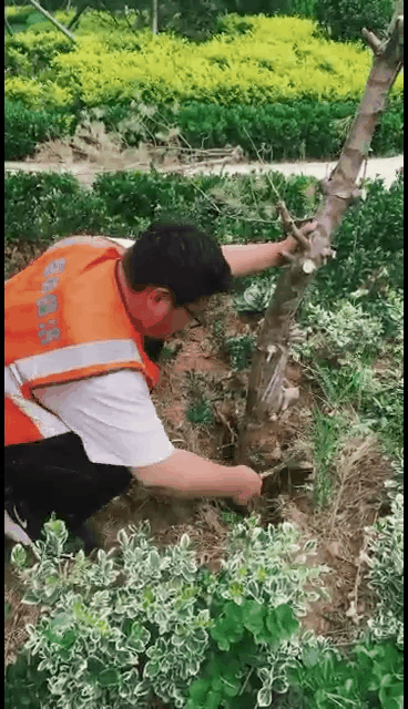 峰景园林智慧管理云平台应用场景——群众问题上报
