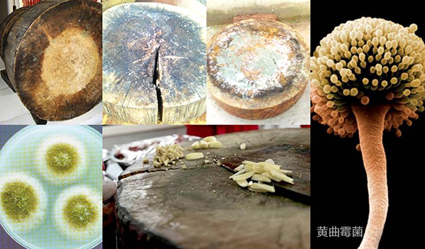 几种不合适家庭使用的物品(6个正在被时代淘汰的家居用品，建议断舍离，别再花钱交智商税了)