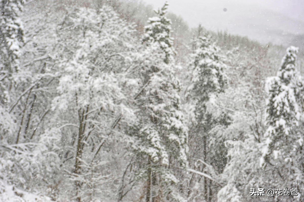 驾唐追逐2022年的第一场冬雪