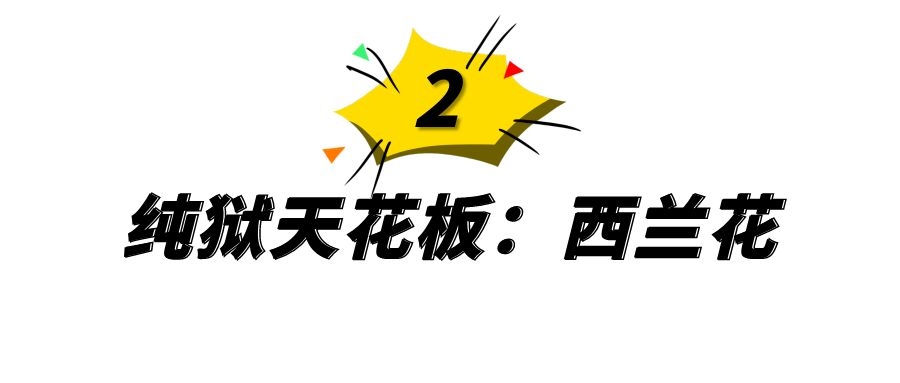 大家最喜欢哪个呢(网红里的各种天花板，一个比一个惊艳，你最喜欢哪一个？)