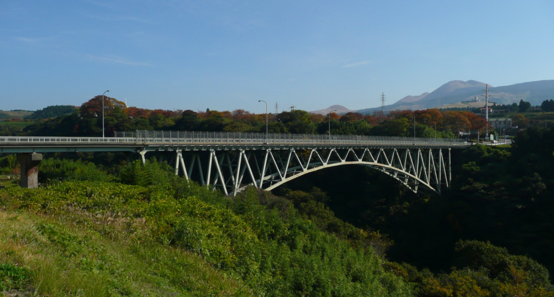 ������ѧ�ұ���Ԥ�⣺��Ȼ�ֺ����ܽ�ʹ�ձ����ɱ�����������