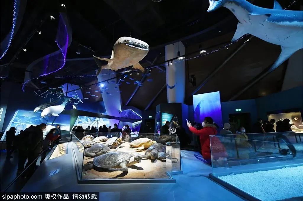 天津有什么好玩的地方（周末去哪 - 早春漫游津沽，去這些景點邂逅不一樣的天津）