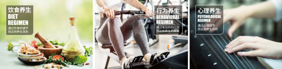 和治友德 | 健康素食日：合理荤素配比 科学健康养生