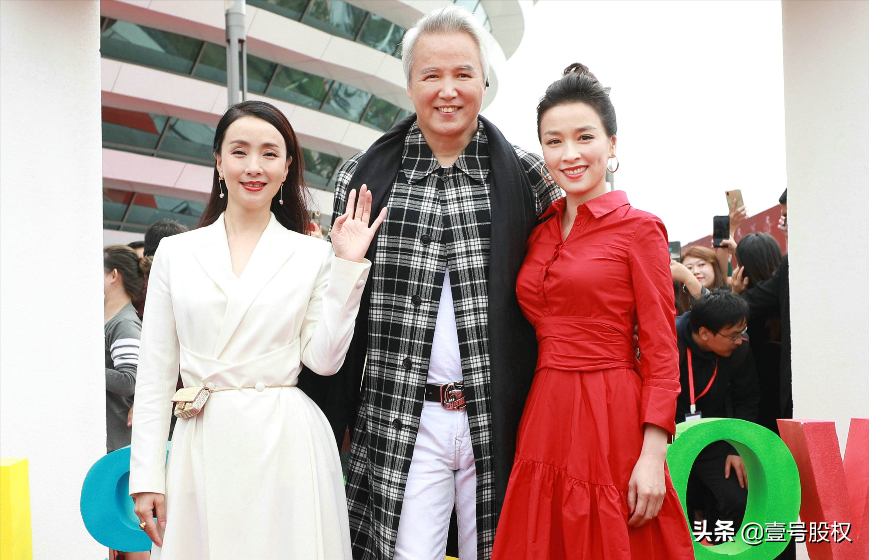 公司股权结构,公司股权结构怎么写