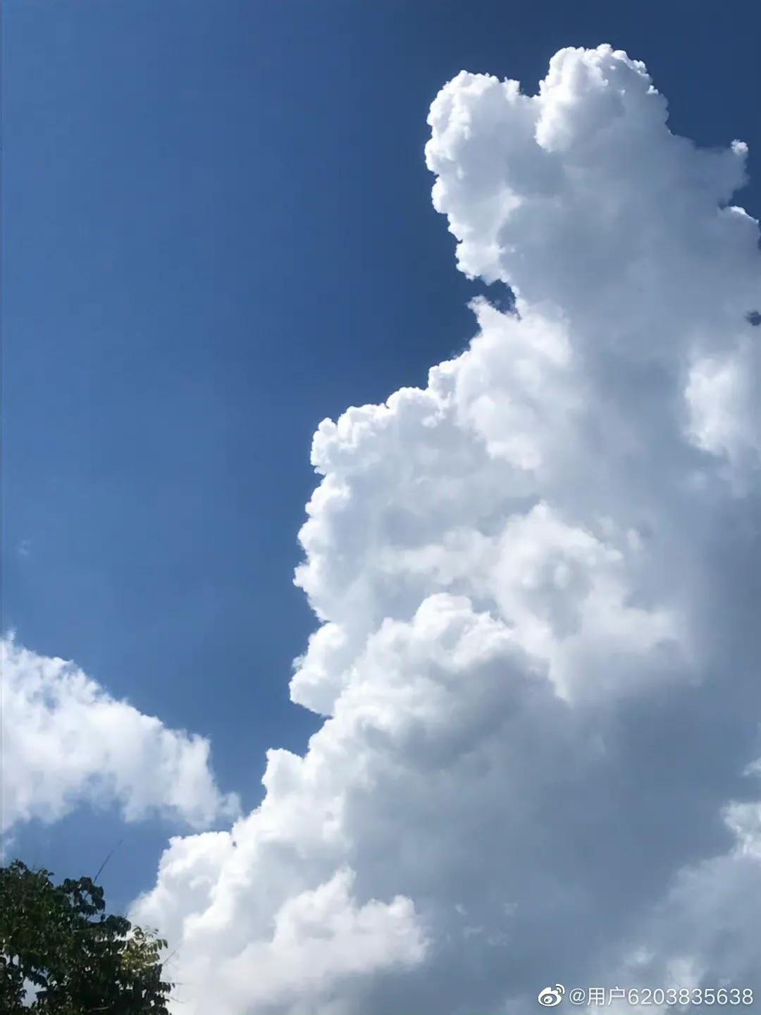 夏天的下午,真的是一天之中最最舒服的时候,而且云彩在这个时候也变得