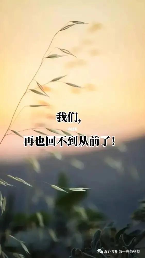我们回不到从前的伤感句子(回不到从前的伤感句子)_爱阅读