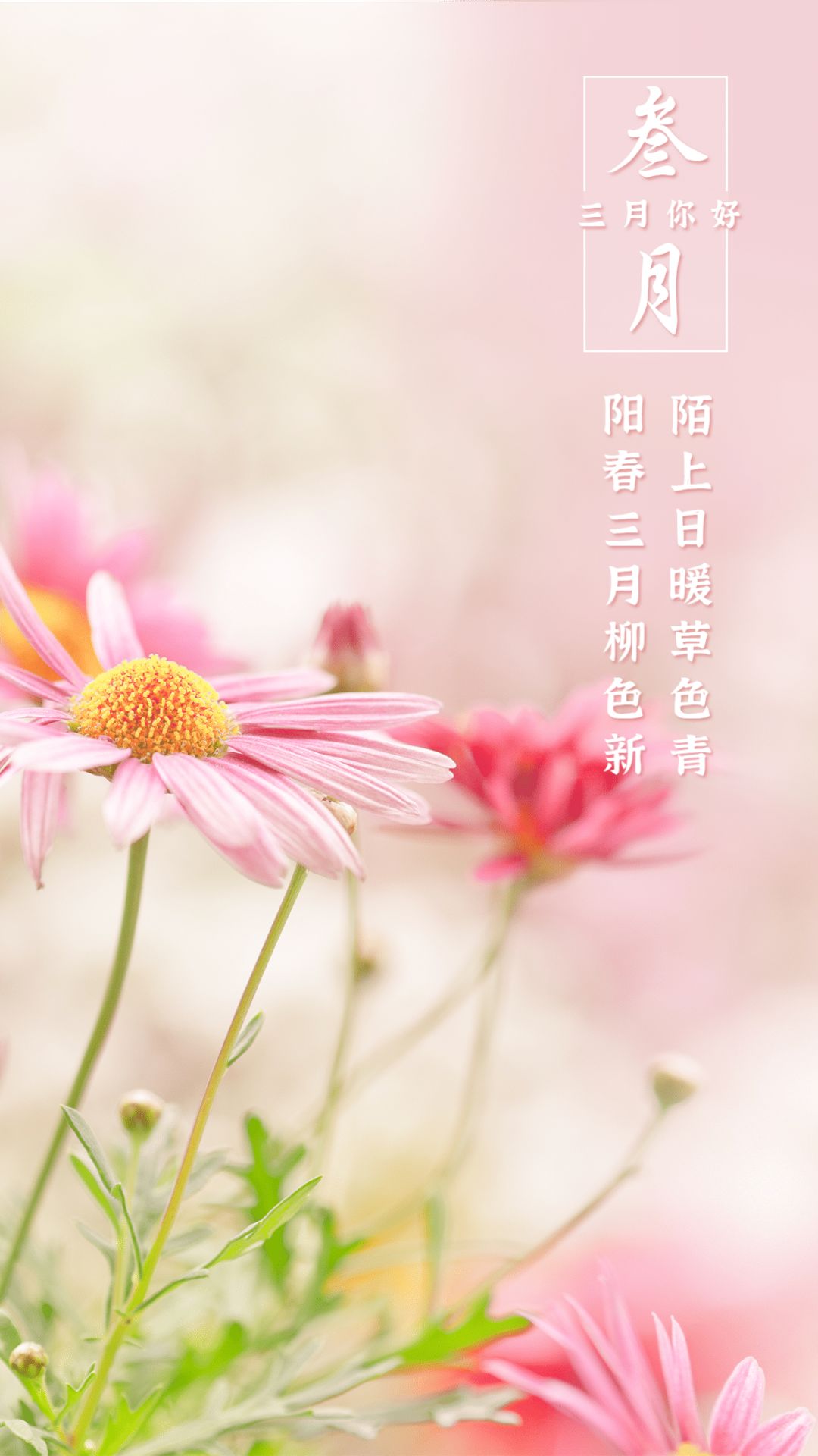 03.01」早安心语,二月再见三月你好!新的一天新的开始